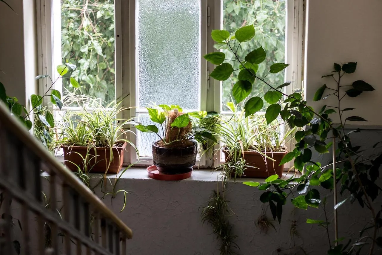 Hostel Dakura Prague